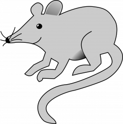 Clipart - Mouse