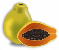 Clipart - Papaya