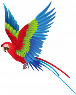 HD quality Flying parrot clipart png images free
