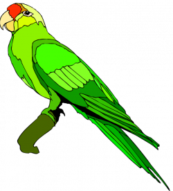 The Top 5 Best Blogs on Clipart Images Of Parrot