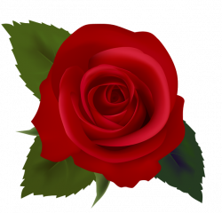 Red roses clip art images free clipart images 2 - Clipartix