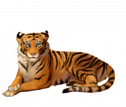 Sitting Tiger png Transparent picture free.