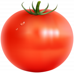 Tomato Transparent PNG Clip Art Image | Gallery Yopriceville - High ...