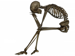 Human Skeleton Ten | Isolated Stock Photo by noBACKS.com