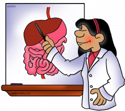 Human Digestive System - Free Science Lesson Plans, Activities ...