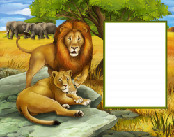 Lions in the Jungle Transparent Kids Photo Frame | Gallery ...