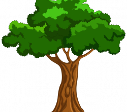 Tree Cartoon Picture : Kids Coloring - europe-travel-guides.com