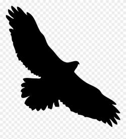 Eagles Clipart Kite Bird - Hawk In Flight Silhouette - Png ...
