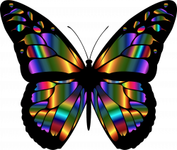 Iridescent Monarch Butterfly by @GDJ, A colorful iridescent ...