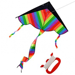 Amazon.com: Latest Foldable Outdoor Sky Dancer Toy Kite 600D ...