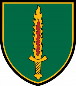 Lithuanian Special Operations Force - Wikipedia