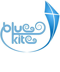 Management Consulting Logo Design for Blue Kite by Carltoons ...