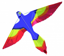 Parrot Kite transparent PNG - StickPNG