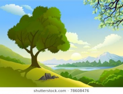 Amazing Country Side And a Lonely Tree By Lake | Background ...