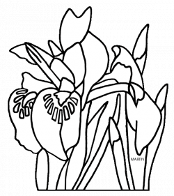 United States Clip Art by Phillip Martin, Michigan State Wild Flower ...