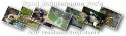 Pond Maintenance, Repair & Renovation Services - Pond Professionals ...
