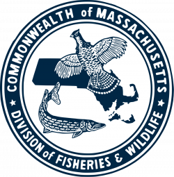 Division of Fisheries and Wildlife (Massachusetts) - Wikipedia