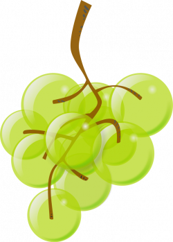 File:Green grapes icon.svg - Wikipedia
