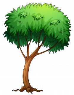 Willow Tree Cartoon Group (68+)