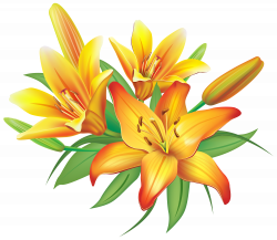 Yellow Lilies Flowers Decoration PNG Clipart Image | Flowers ...