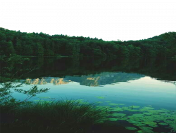 PNG TRANSPARENT - NATURE POND by TheArtist100 on DeviantArt