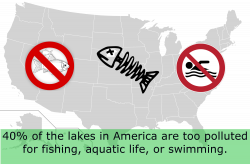 Infographic: Pollution in US Lakes – ECO-Startups