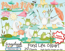 POND LIFE Clipart, 29 png Clipart files, Instant Download lake spring rain  springtime frog toad duck goose geese nature outdoors dragonfly