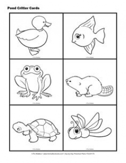 Pond animals clipart black and white - Clip Art Library