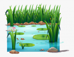 Clipart Lake Frog Pond - Pond Lily Pads Cartoon #293983 ...