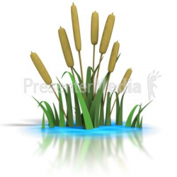 Cattails Clipart | Cattails in Pond - Wildlife and Nature ...