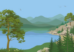 Landscape with trees and mountain lake illustration cliparts ...