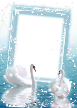 Transparent Photo Frame with two Swans | Gallery Yopriceville ...