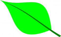 Green Leaf Clip Art at Clker.com - vector clip art online, royalty ...