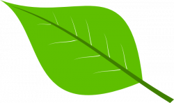 Large Green Leaves Clipart