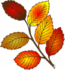 Leaf free leaves clipart free clipart graphics images and photos 2 5 ...