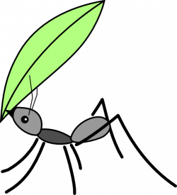 Ant Carrying A Leaf Clip Art at Clker.com - vector clip art online ...