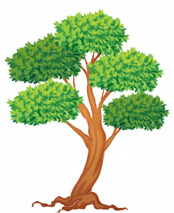 6.png | Pinterest | Clip art, Tree clipart and Leaves