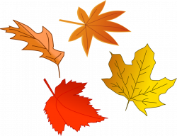 Leaf Autumn | Free Stock Photo | Illustration of colorful autumn ...