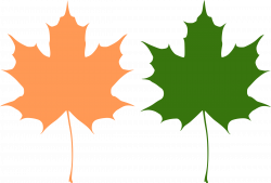 Leaf clipart symmetrical - Pencil and in color leaf clipart symmetrical