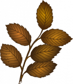 Fall Leaves Branch Clip Art at Clker.com - vector clip art online ...