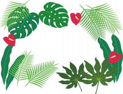 Leaf Clip art - Tropical plant leaves border 3142*2424 transprent ...
