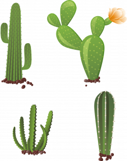 Cactaceae Clip art - Hand-painted cactus 2505*3178 transprent Png ...
