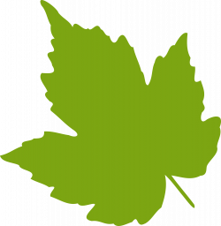 Clipart - leaf 04