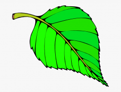 Big Leaf Clipart - Green Colour Objects For Preschool ...