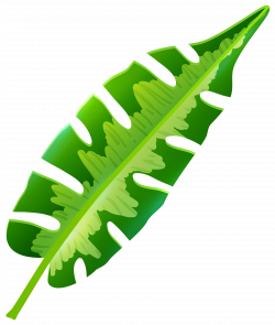 Tropical Leaf PNG Clip Art - Best WEB Clipart