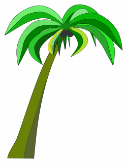 Clipart - Palm or Coconut Tree
