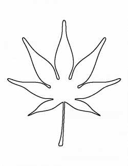 Japanese maple leaf pattern. Use the printable outline for crafts ...