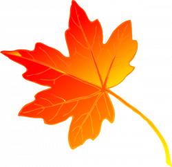 28+ Collection of Maple Leaves Clipart | High quality, free cliparts ...