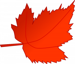 Maple Red Leaf Clip Art at Clker.com - vector clip art online ...