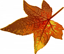 Fall Maple Leaf Clip Art at Clker.com - vector clip art online ...